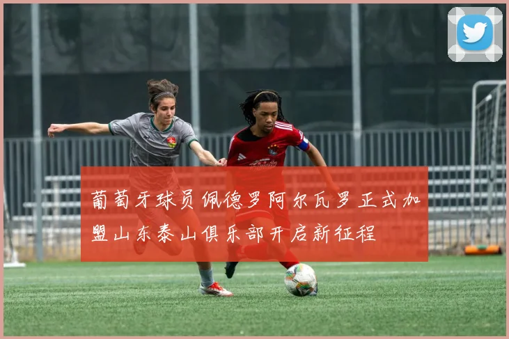 葡萄牙球员佩德罗阿尔瓦罗正式加盟山东泰山俱乐部开启新征程