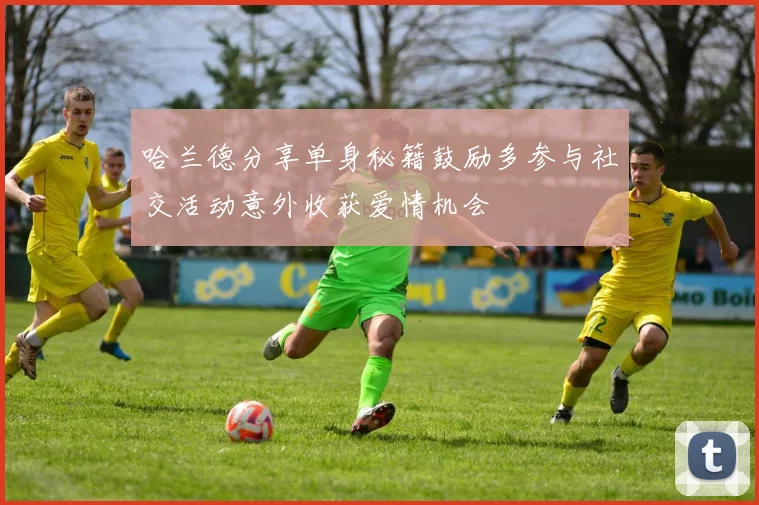 哈兰德分享单身秘籍鼓励多参与社交活动意外收获爱情机会