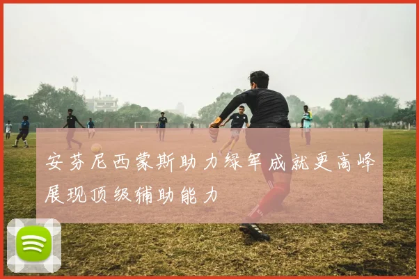 安芬尼西蒙斯助力绿军成就更高峰展现顶级辅助能力