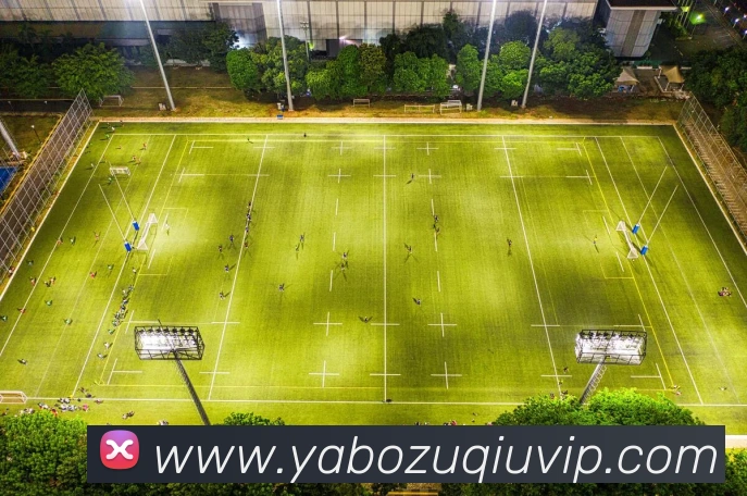 APP界面展示